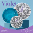 سرویس 6 نفره 25 پارچه ترکیبی طرح وایولت (Violet)